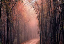 雷速体育:罗马诺:若报价合适切尔西会卖菲利克斯,但也不排除让他留队.