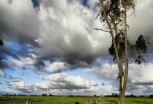 雷速体育:西甲夺冠赔率:巴萨1赔1.61反超皇马 马竞掉队.