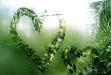 雷速体育:詹眉合砍56分杜兰特30+6 22分逆转太阳两连胜.