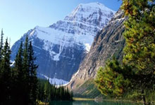 雷速体育:英超:纽卡斯尔以1比0 击败阿申纳.