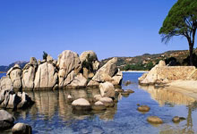 雷速体育:萨内:对阵药厂后是否很难在比赛中保持强度?这不该成为借口.